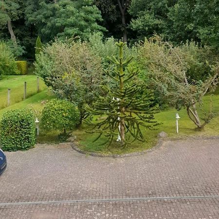 Pension Zum Park 골드버그 외부 사진