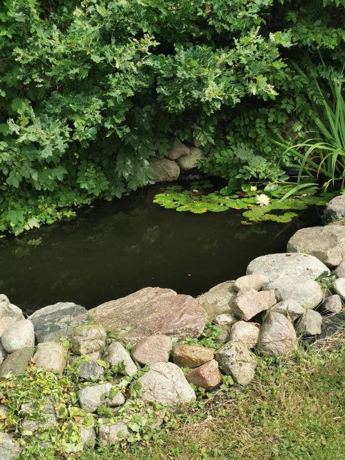 Pension Zum Park 골드버그 외부 사진