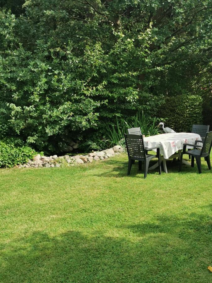 Pension Zum Park 골드버그 외부 사진